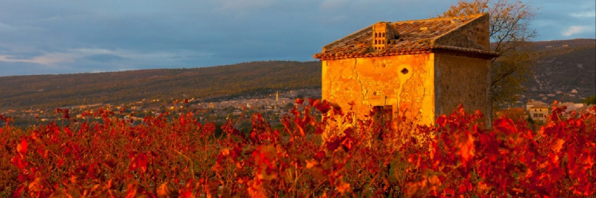 Image de Famille de vignerons