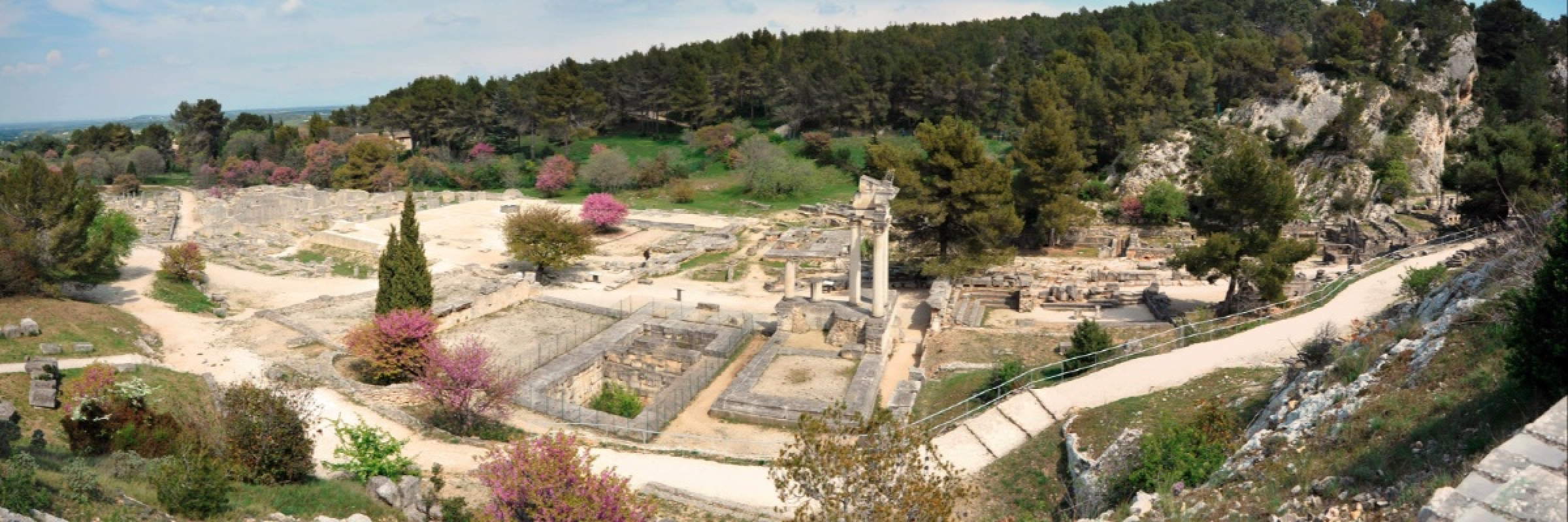 Image de Un oppidum gaulois au cœur des Alpilles
