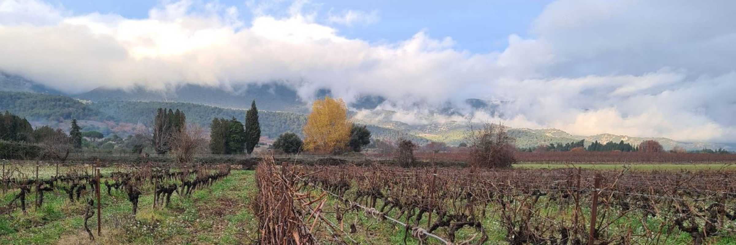 Image de LOUERION Terres d'Alliance