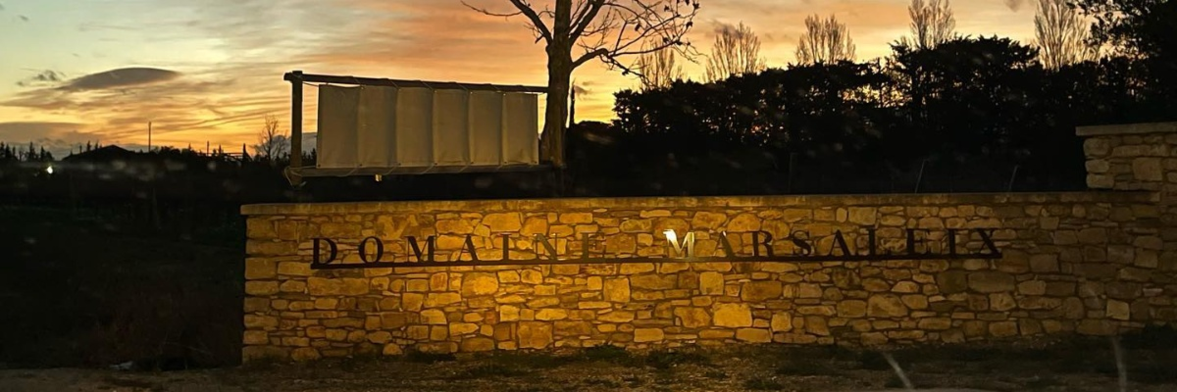 Image de Sous l'AILE du phœnix