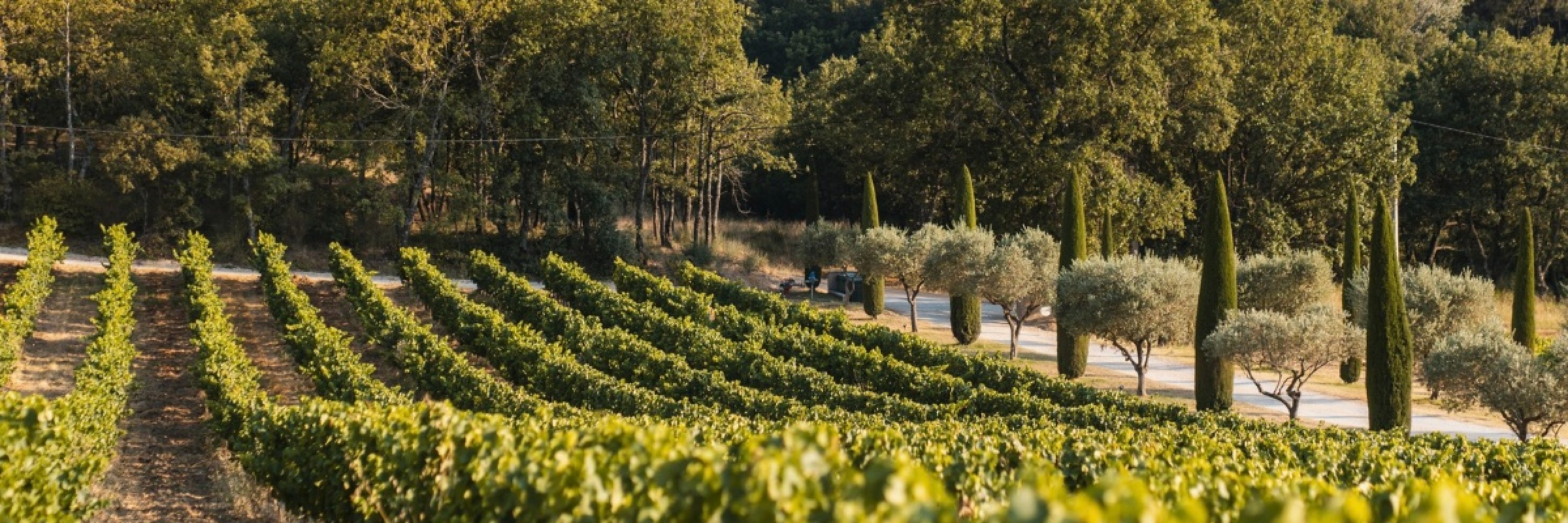 Image de Des terroirs d’exception