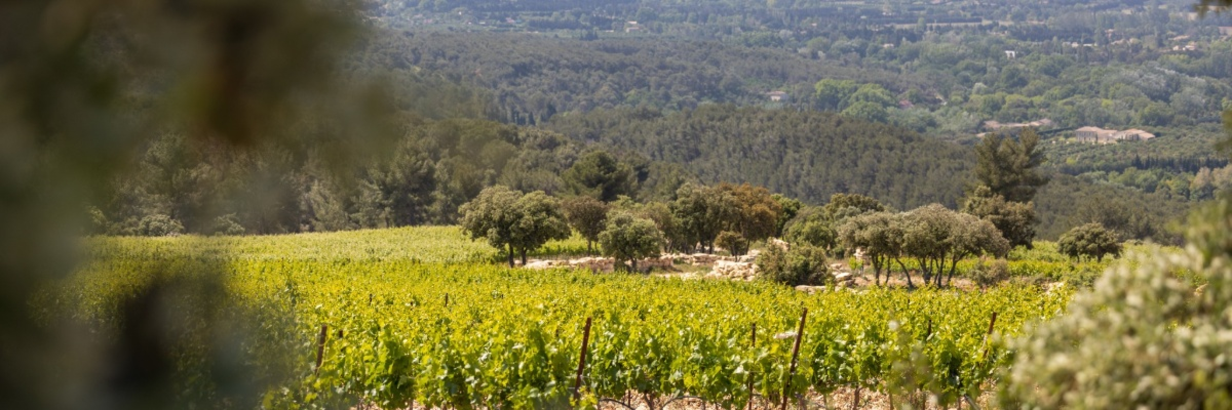 Image de De la passion à la réalisation