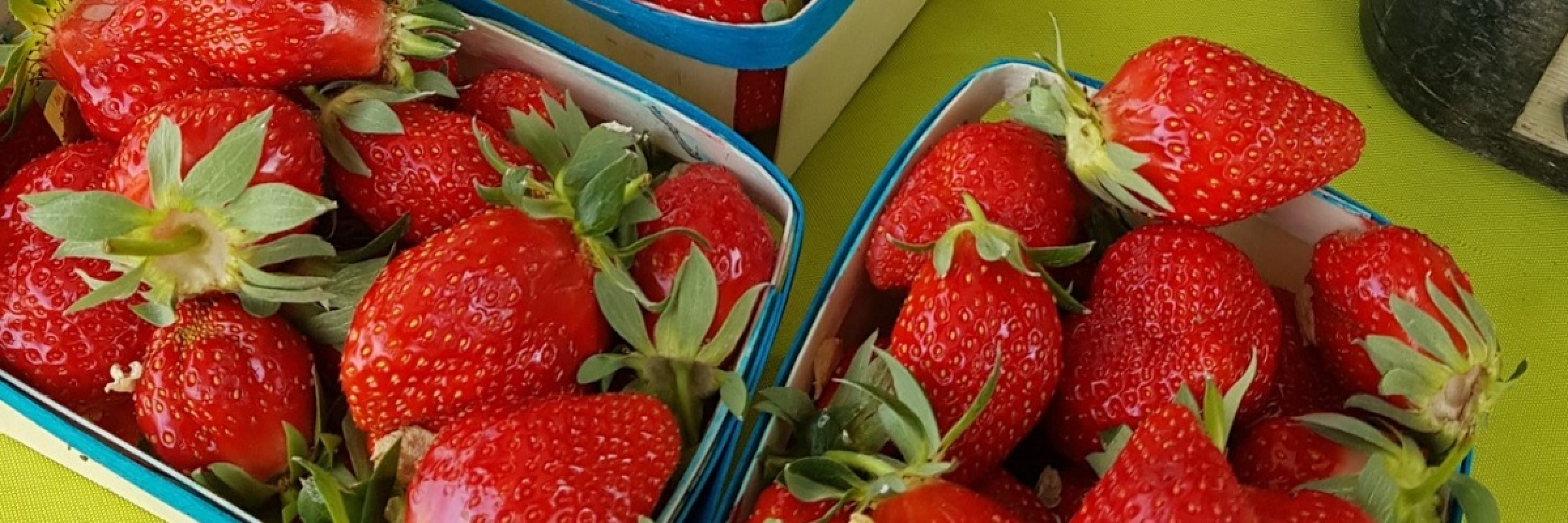 Image de En direct des producteurs