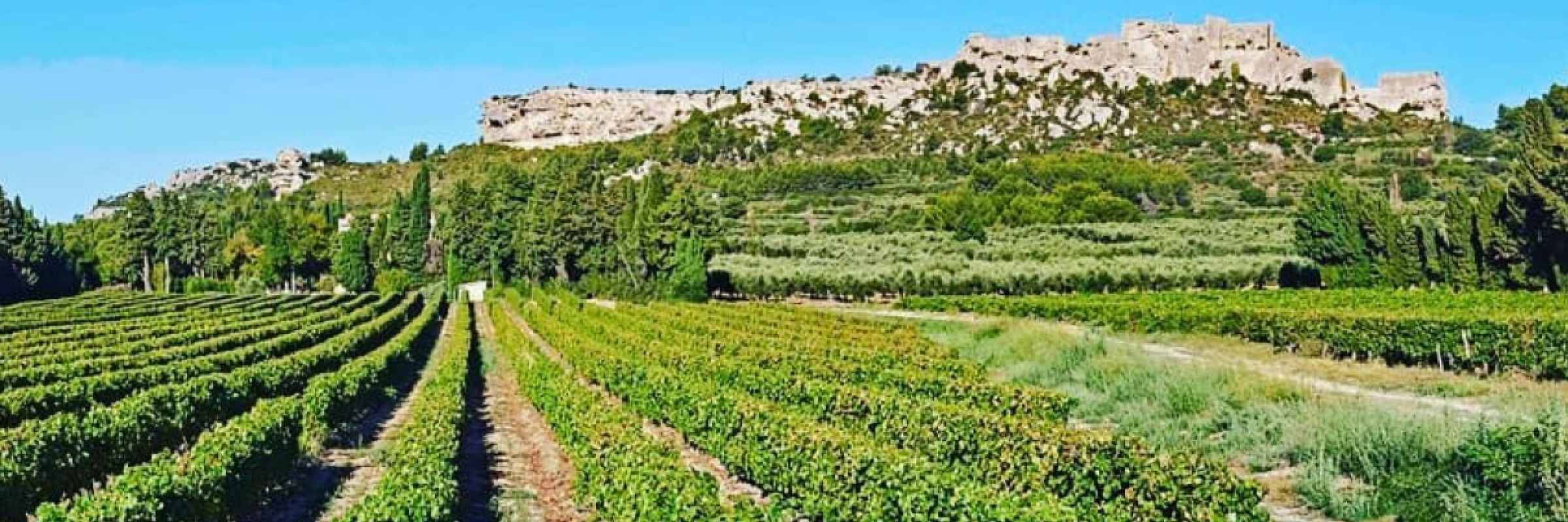 Image de Au coeur du massif des Alpilles
