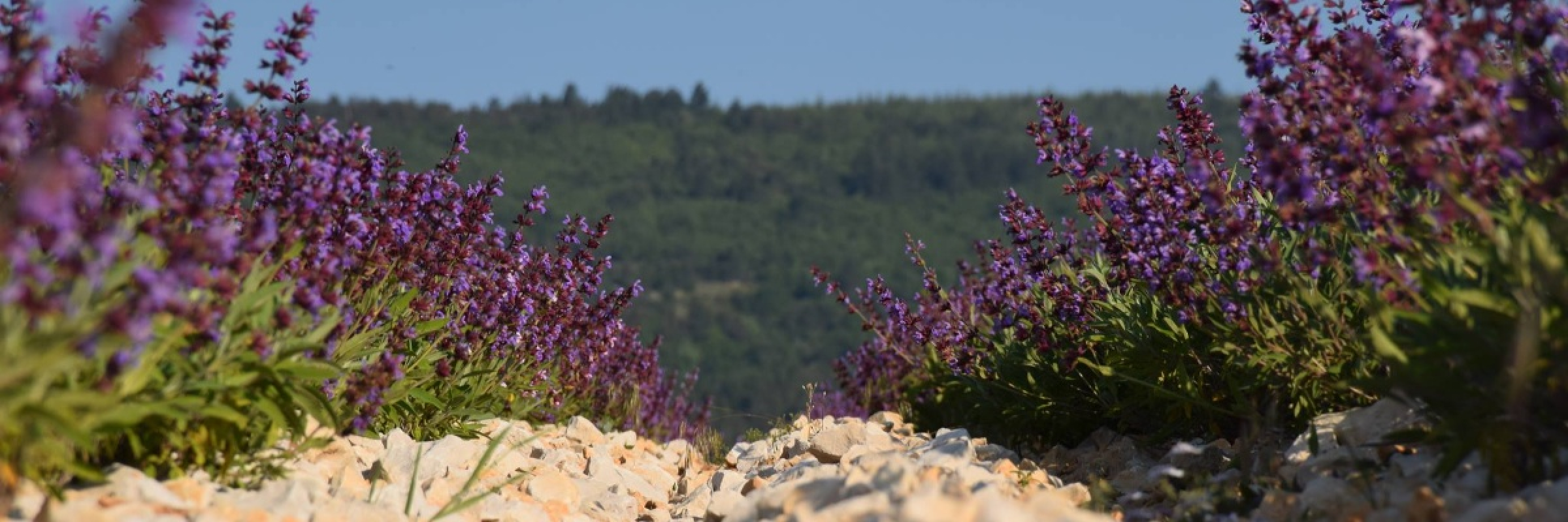 Image de Prendre un temps pour soi !