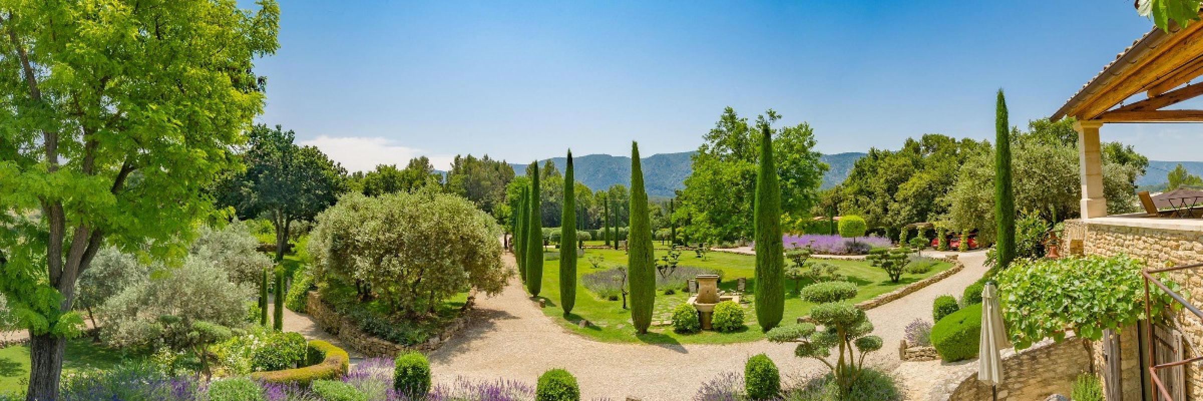 Image de Chêne vert