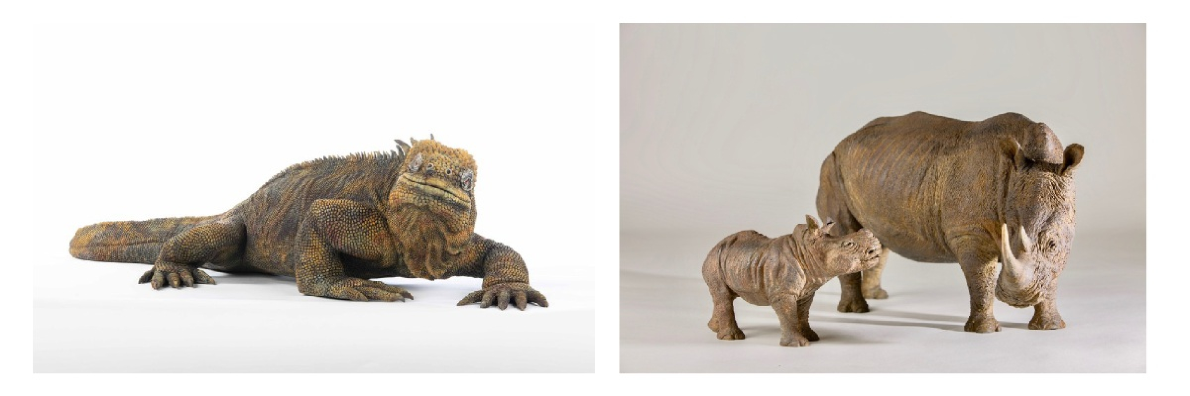 Image de Céramiques & sculptures au cœur du Luberon