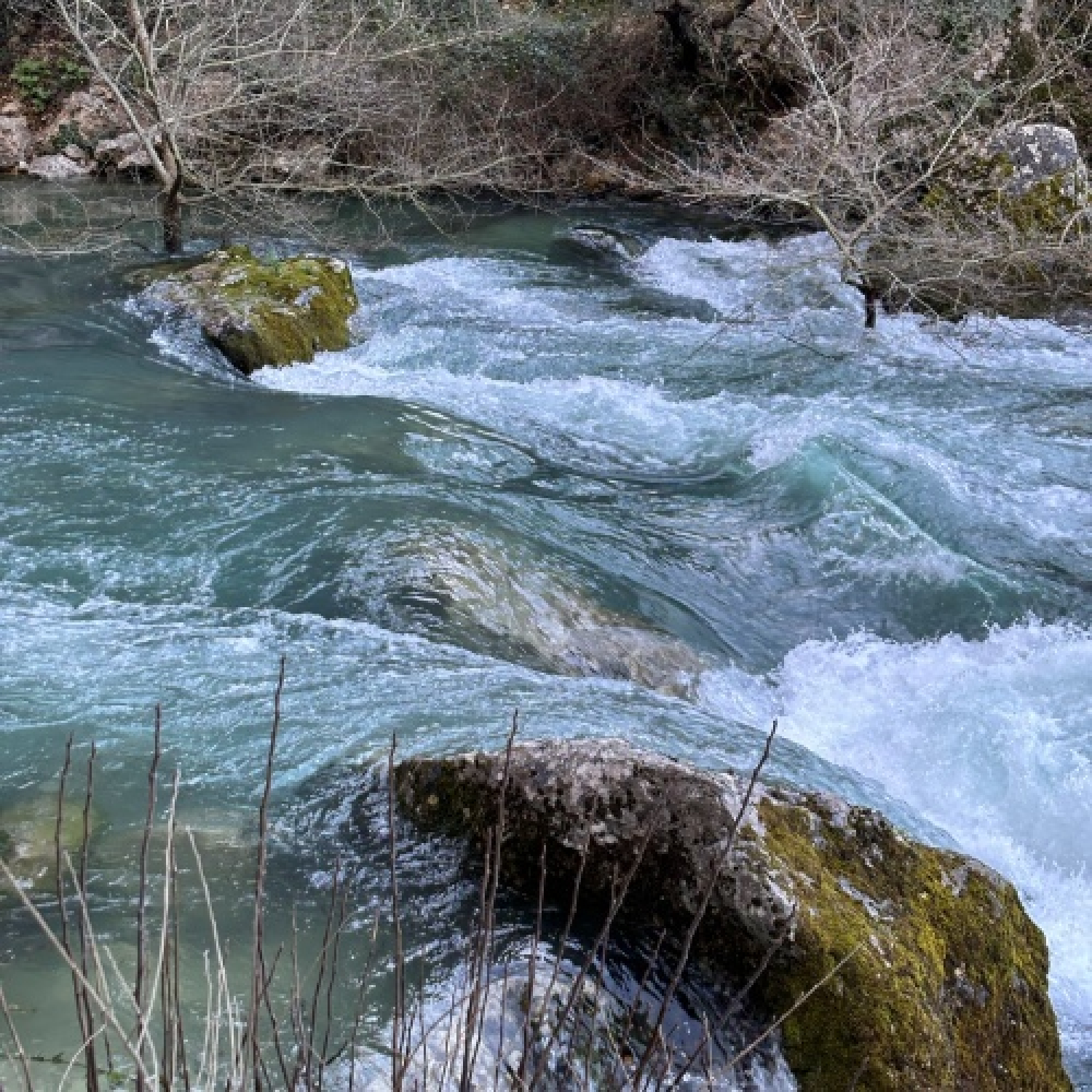 La source de la Sorgue
