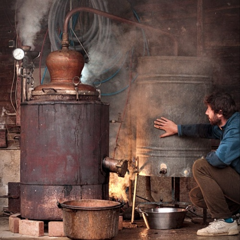 Distillerie Provençale autonome