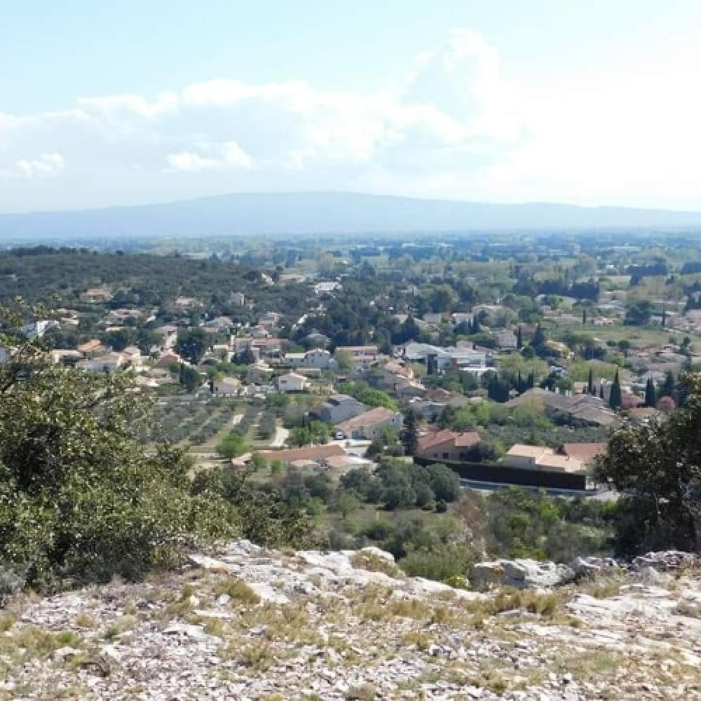 Panorama 360° et herbier vivant !